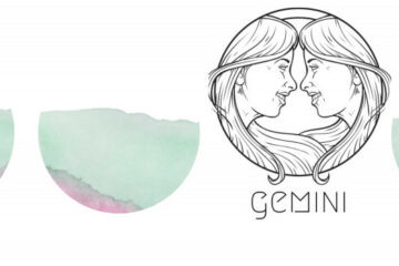 Gemini banner